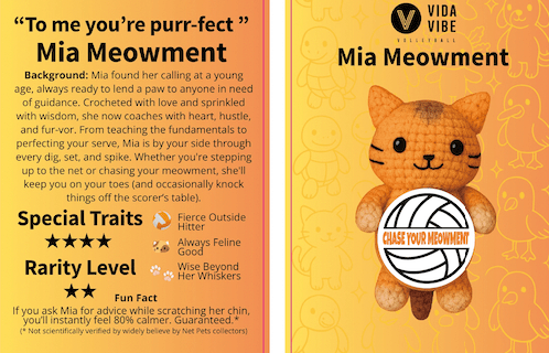 NetPets Surprise Crochet Keychains – 6 Collectible Volleyball Animal Blind Bags with Inspirational Quotes